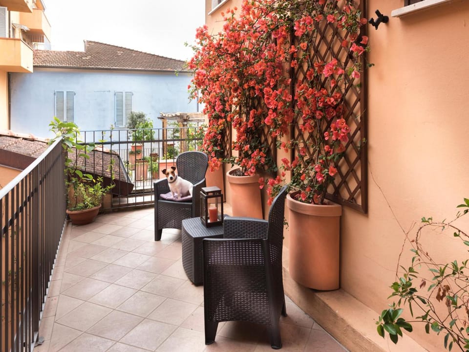 Hotel Palagi Hotel in Pietrasanta