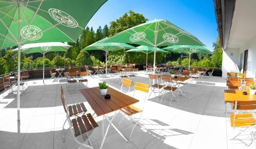 Hotel Kniebis-Stuben Hotel in Ortenau