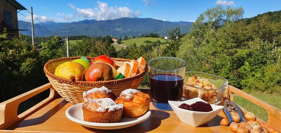 Tolasudolsa Rooms, Breakfast & Mountain Bike Vacation rental in Liguria