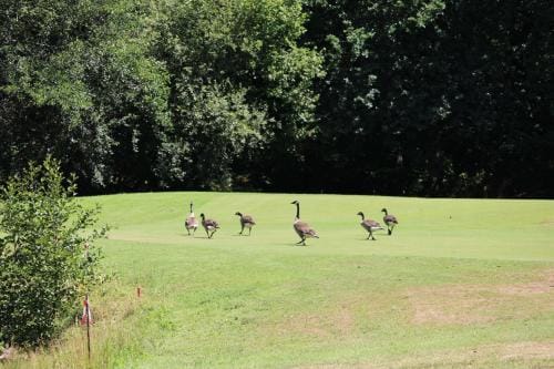 Detente au golf des etoiles Lodge in Centre-Val de Loire