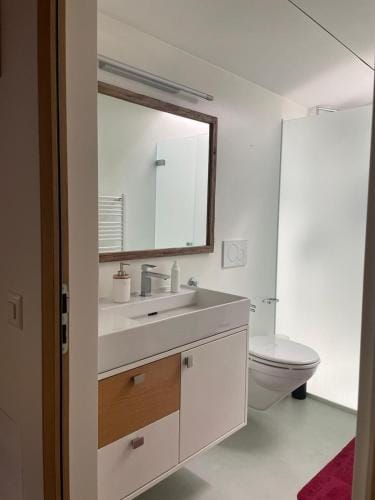 Apaprtamento mansardato Hotel in Canton of Ticino
