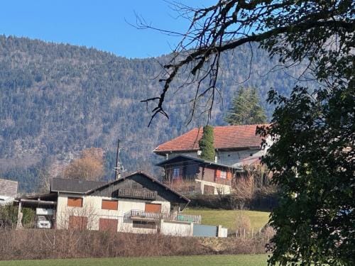 Le chalet st hubert Hotel in Haute-Savoie