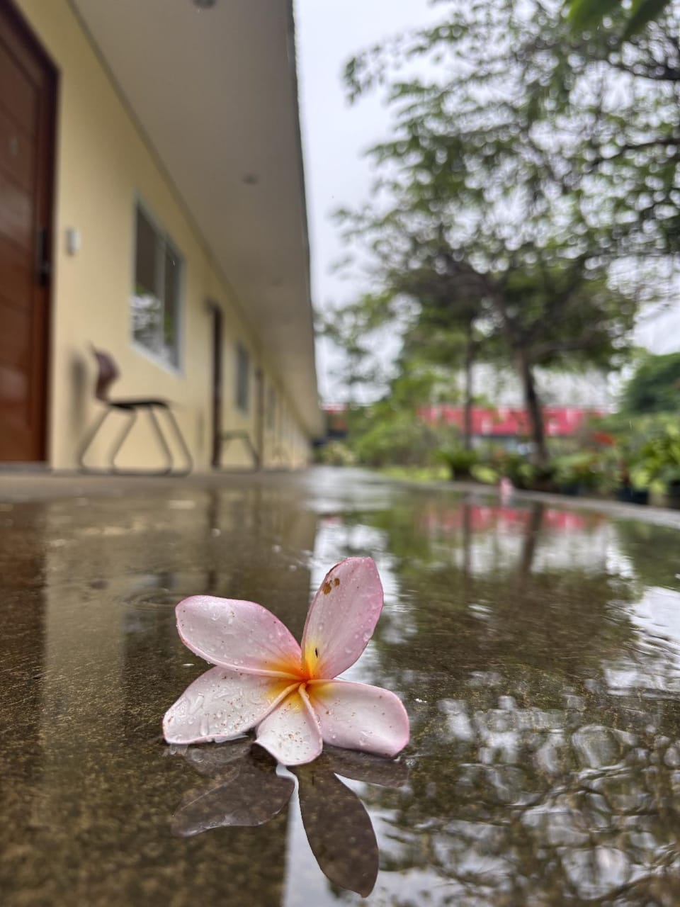 Summer Breeze Guest House Capsule hotel in Dumaguete