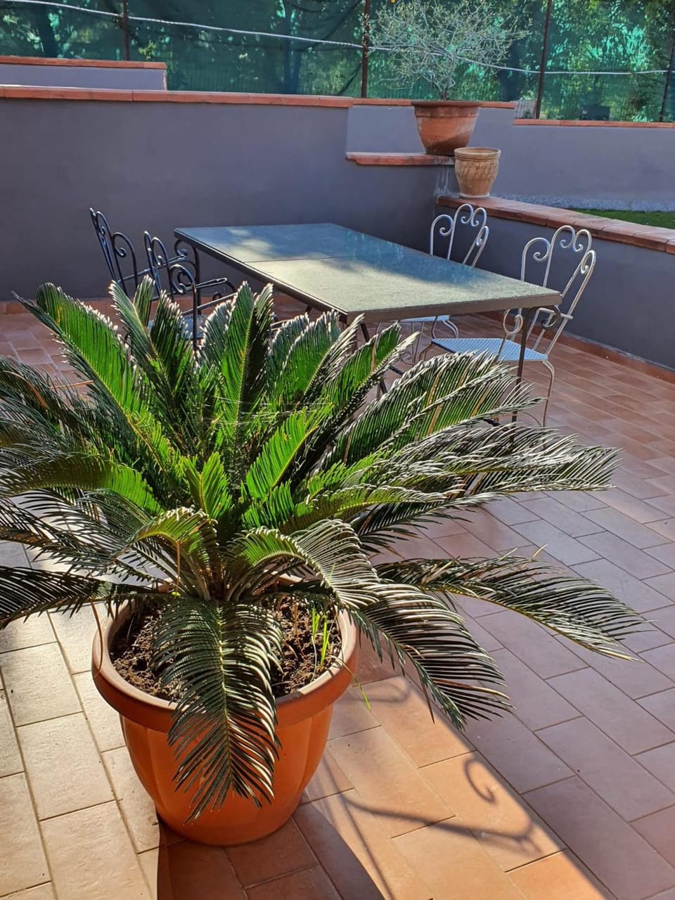 Bed & Breakfast Neapolis Hotel in Ercolano