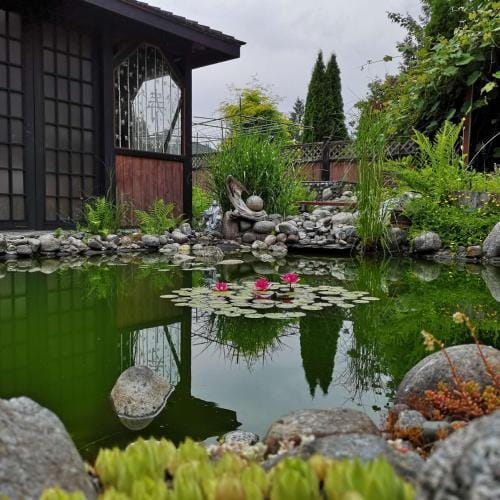 Abbie's Cozy Single Rooms Hotel in Pitt Meadows