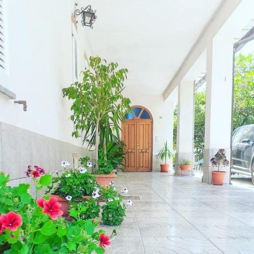 Affittacamere delle rose Hotel in Basilicata