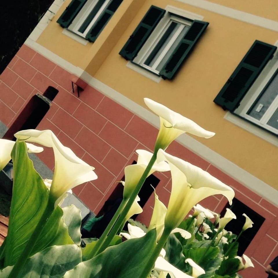 BBQ Lodge Hotel in Camogli