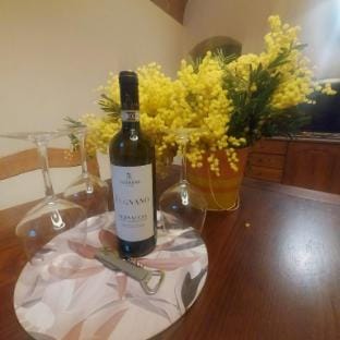 Charming San Gimignano Apartment With City Views Hotel in San Gimignano