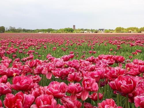 Bed en Breakfast en Bike Hotel in Zeeland, Netherlands