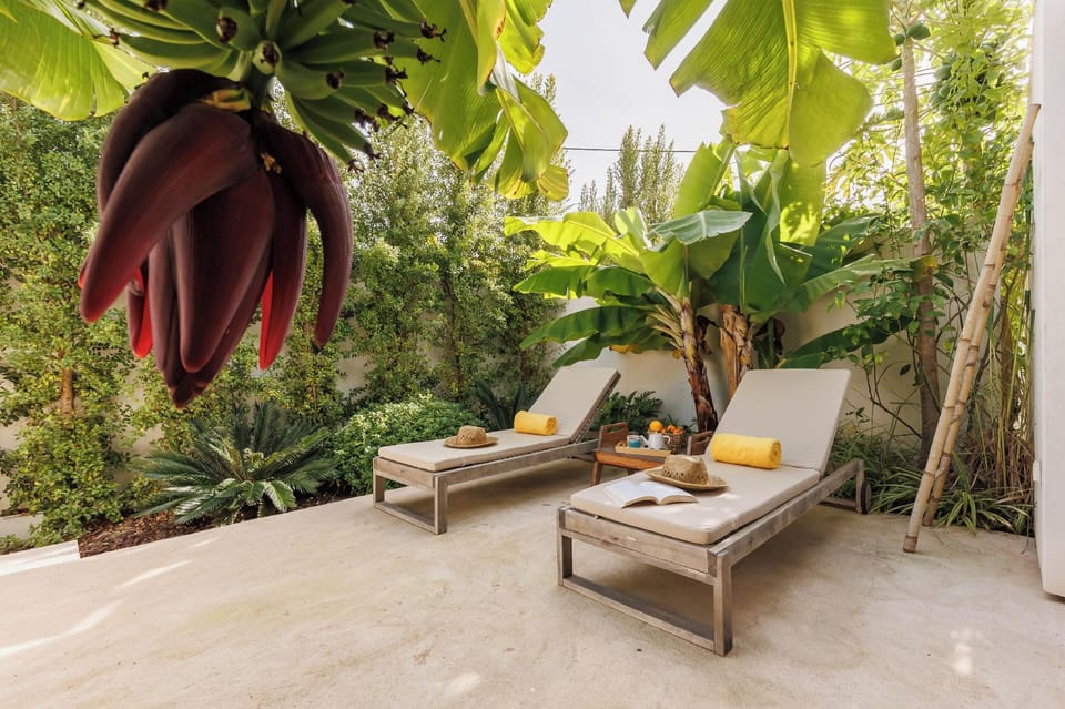Laranjal Farm House Hotel in Moncarapacho
