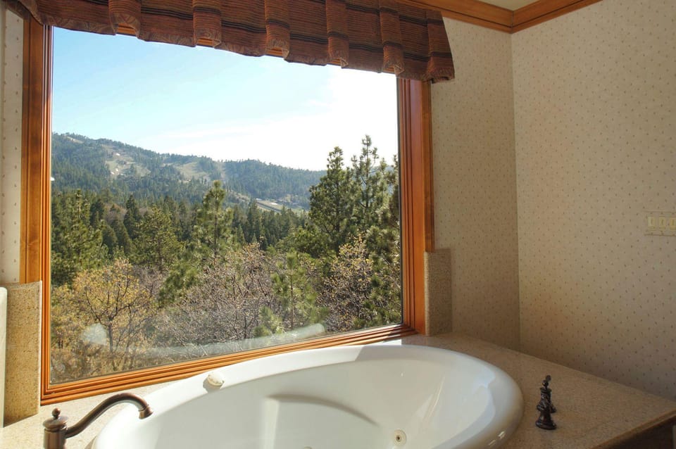 Luxury View Lodge Hotel in Big Bear