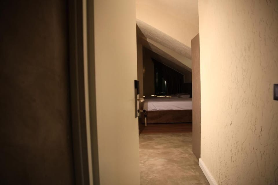 Greco Boutique Hotel Shkoder Hotel in Montenegro
