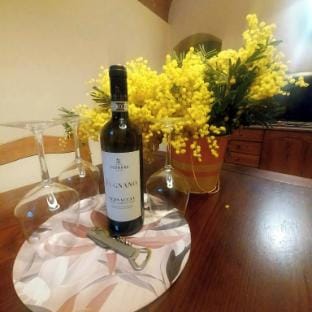 IL VECCHIO CONVENTO Hotel in San Gimignano