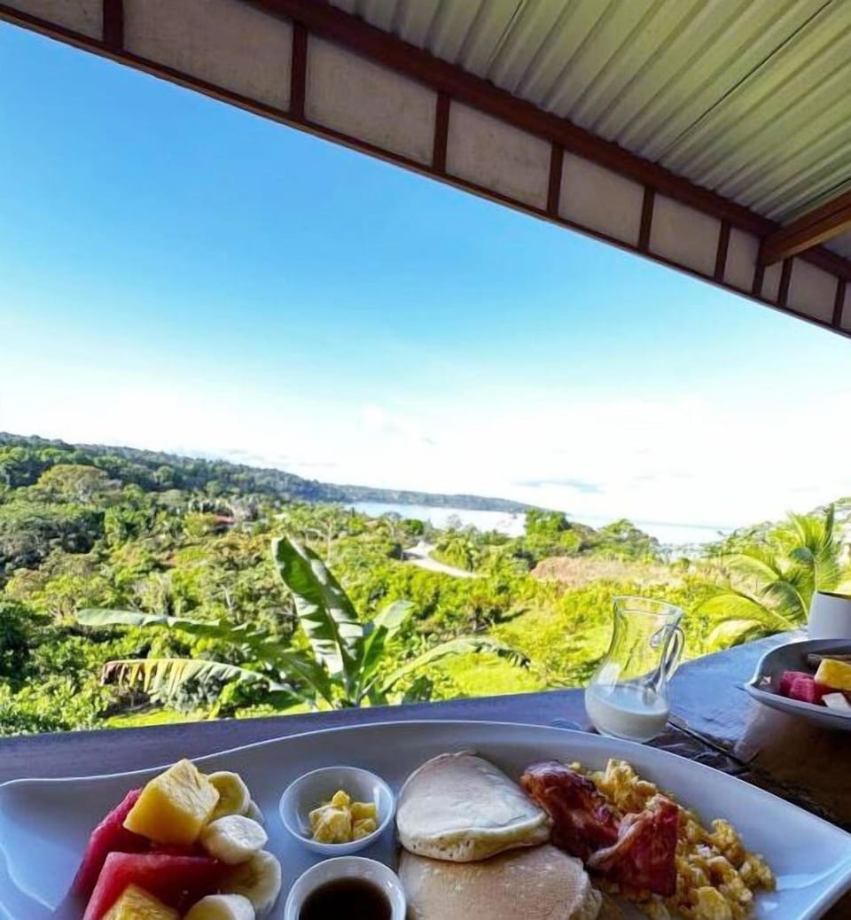 Ocean and Forest View Hotel Manolo Hotel in Puntarenas Province