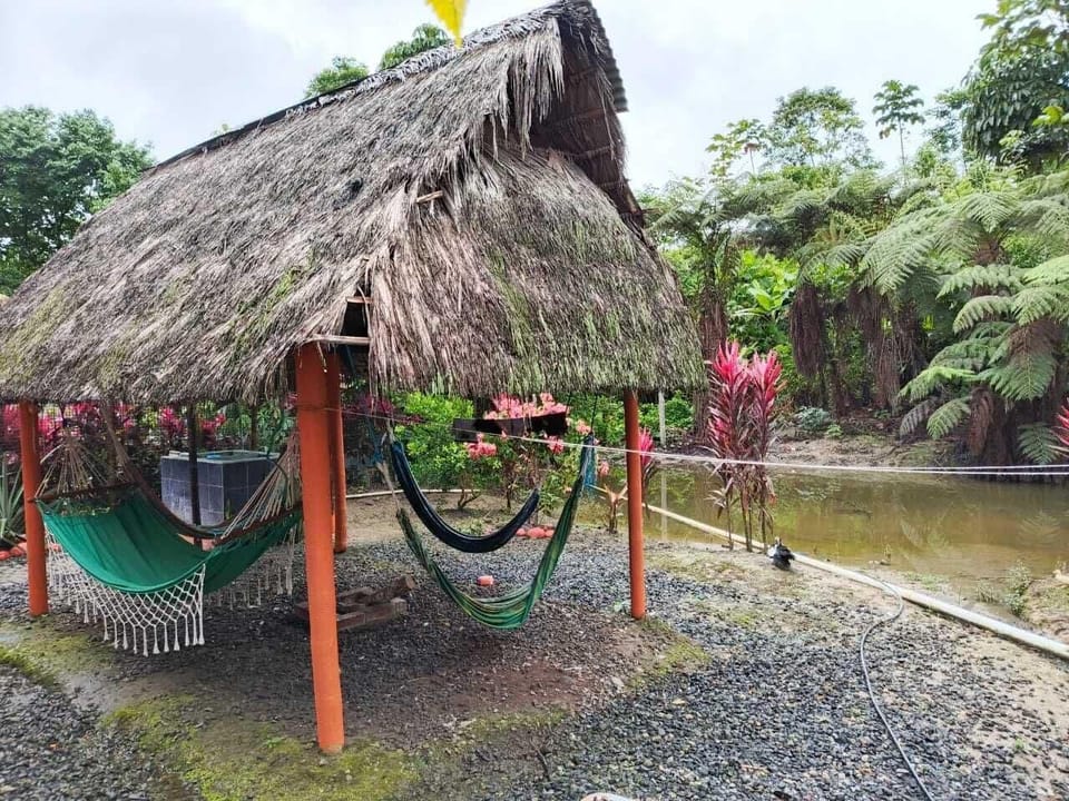THE JUNGLE Vacation Home Hotel in Ecuador