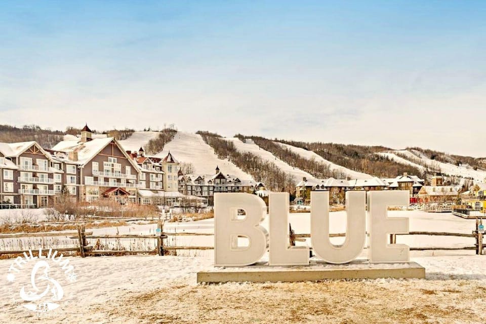Hillside BLUE MTN family Loft Hotel in Grey Highlands