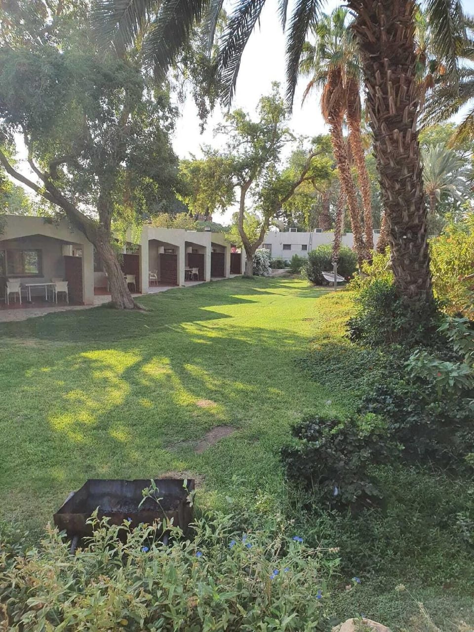 Kalya Kibbutz Hotel Hotel in Africa