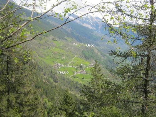Ristorante Lodge MARTI Hotel in Canton of Ticino