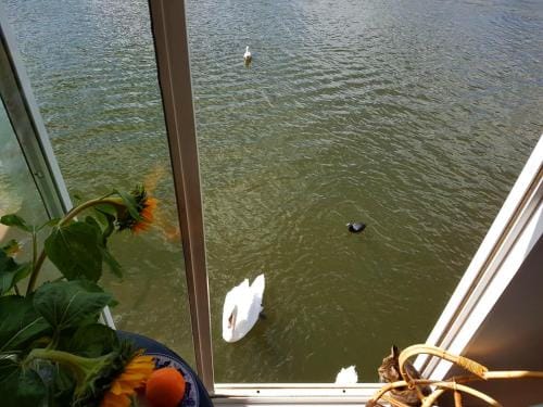 Houseboat Concordia B&B Hotel in Amsterdam