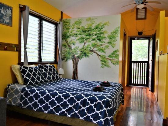 Tree Top Tropical Oasis in San Ignacio - Your Home Away from Home in the Trees Hotel in San Ignacio