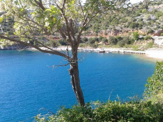Traditional Stone House Bura - Nature Park Velebit Hotel in Zadar County