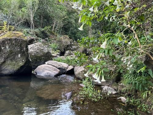 Chalet 13 Bedlington Hotel in Whangārei