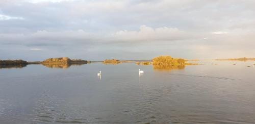 Birchall Lodge Hotel in County Galway