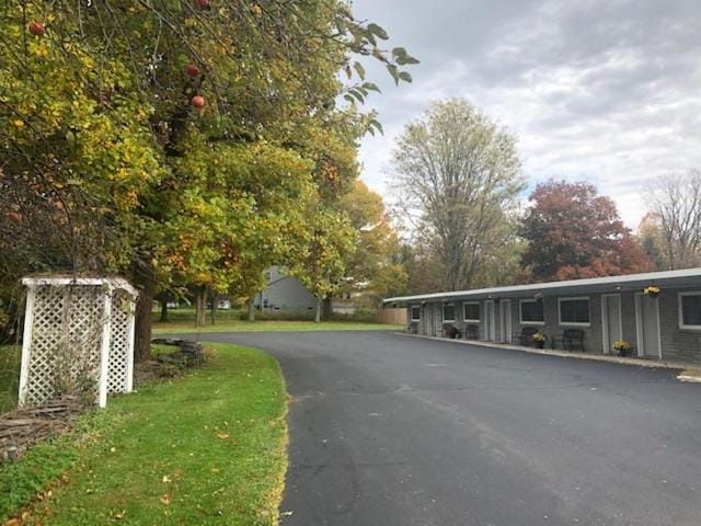 Nightshade Inn & Gardens Inn in New York