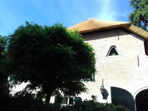 B & B De Pimpelmees Hotel in South Holland (province)