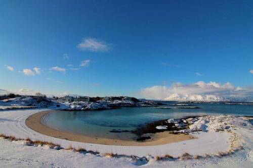 Superior Cottage with Sea View in Senja Lodge in Nordland, Norway