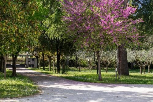 Oltremodo - Bed and Breakfast Hotel in Marche
