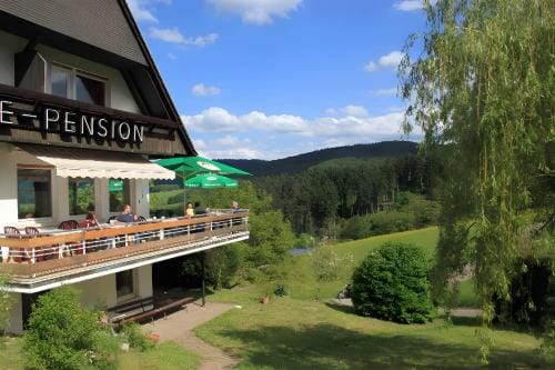 Cafe Pension Pfaus Heidburg Hotel in Ortenau
