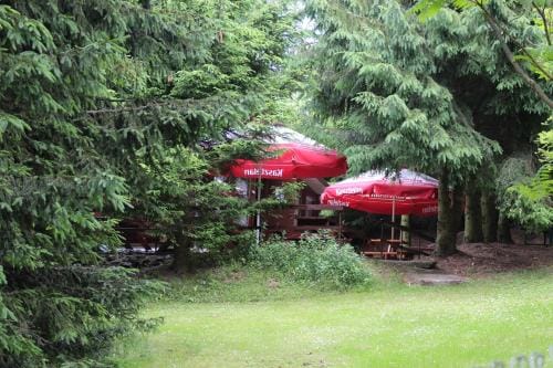 Domek Letniskowy Brozowka Lodge in Lithuania