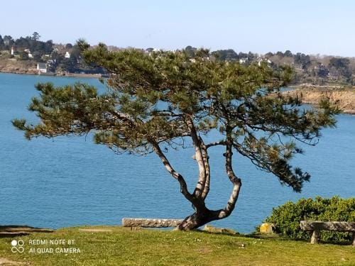 Au coeur des rias, studio Belon, proche de la mer Hotel in Finistere
