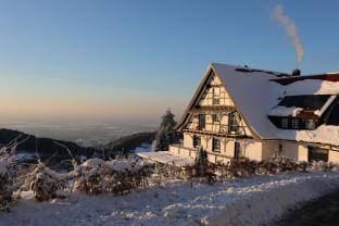 Hotel Gr�ner Baum Hotel in Ortenau