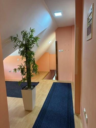 Apartmani kod Bojana Hotel in Zlatibor District, Serbia