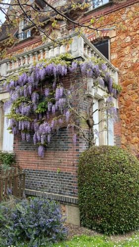 Le Lierre et La Rose Hotel in Normandy