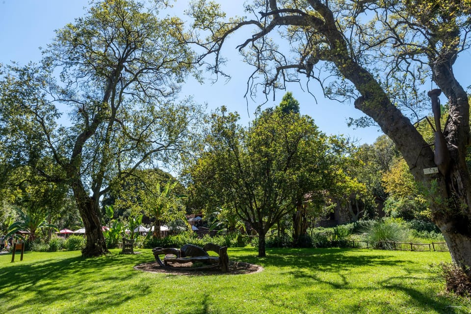Charming Executive Studio, Solar power, WiFi Hotel in Johannesburg