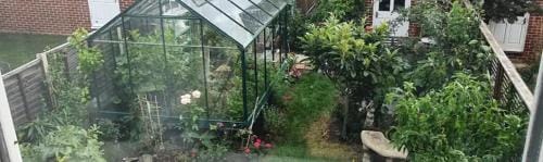 Lovely Room with a view & Parking nr Hampton Court Hotel in Molesey