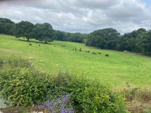 Holland Park Farm Hotel in Teignbridge