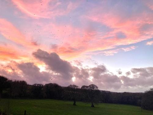 Holland Park Farm Hotel in Teignbridge