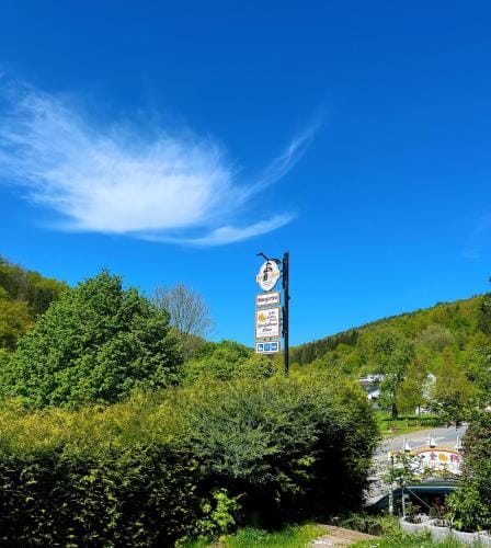 Zum Goldenen Lowen Hotel in Hesse