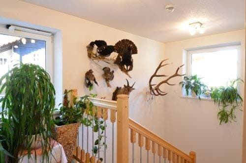 Apart Muntane Hotel in Saint Anton am Arlberg