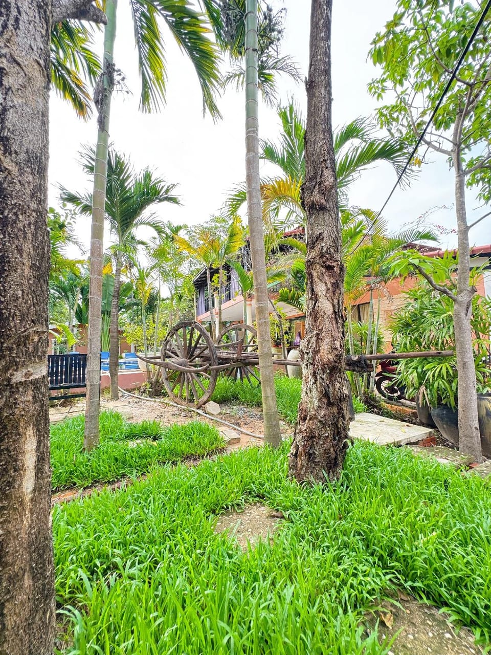 Sun Boutique Resort Resort in Krong Siem Reap