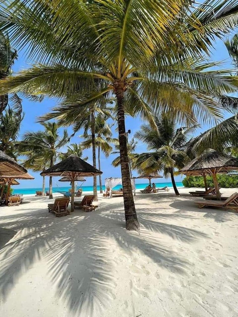 Majani Breeze Zanzibar  Lodge in Unguja North Region