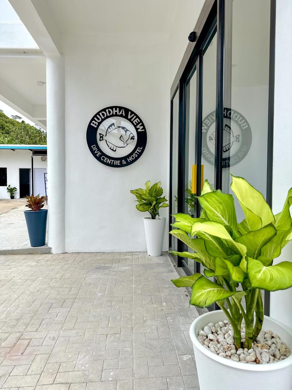 Buddha View Hostel Hostel in Ko Tao