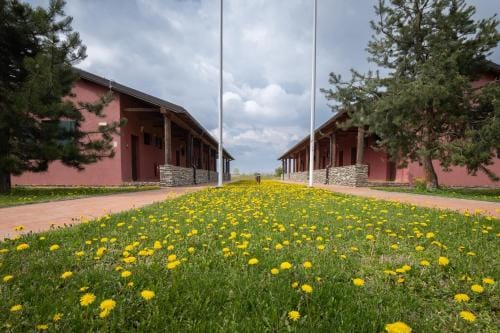 Arheoloski park Viminacium Hostel in Vojvodina