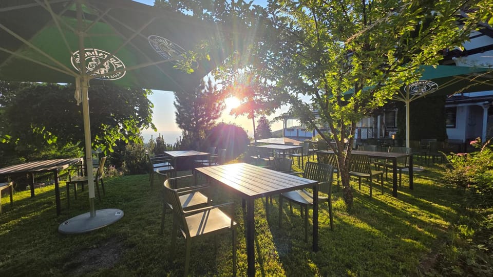 Berghof Gruner Baum Hotel in Ortenau