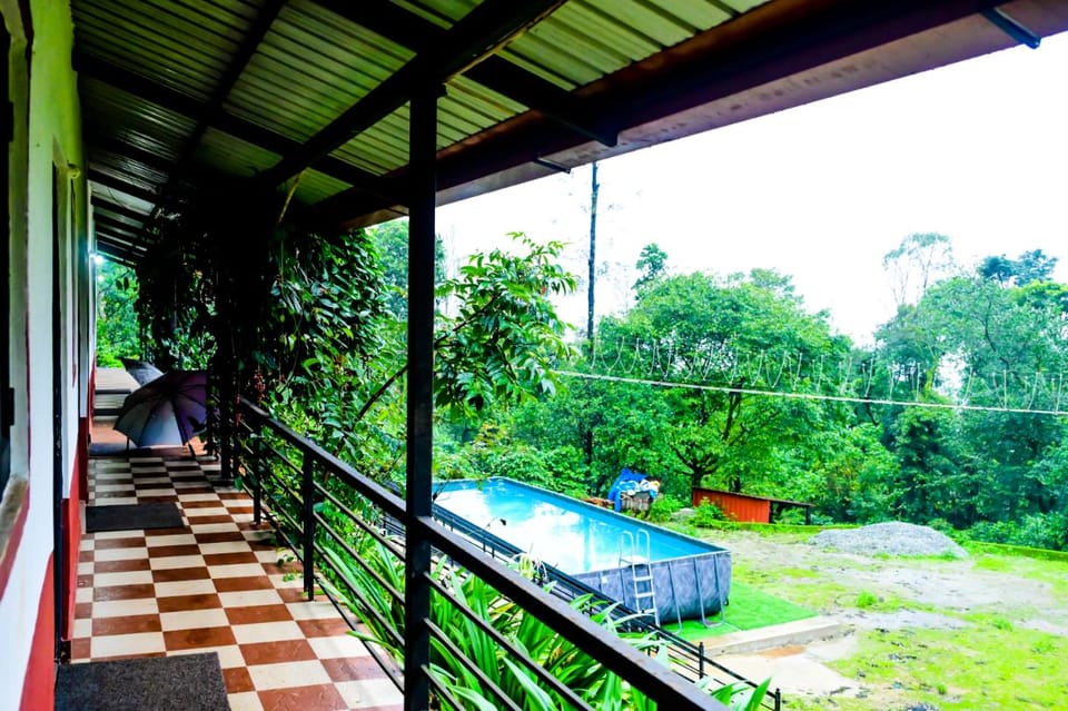 Swimming pool [outdoor]