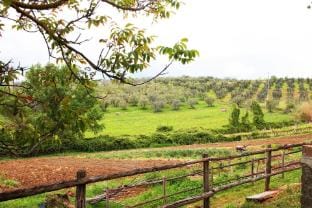 Agriturismo fattoria la goccia Hotel in Umbria